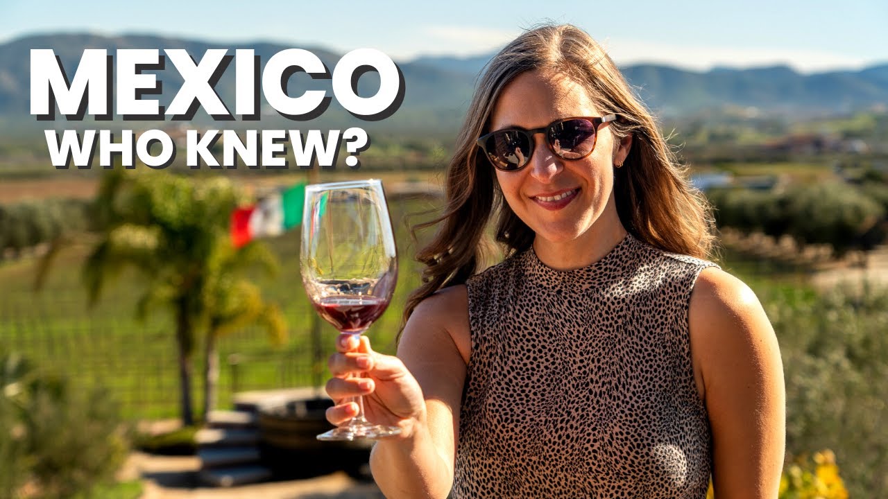 Wine + Dine in Mexico Wine Country: Valle de Guadalupe Travel Guide