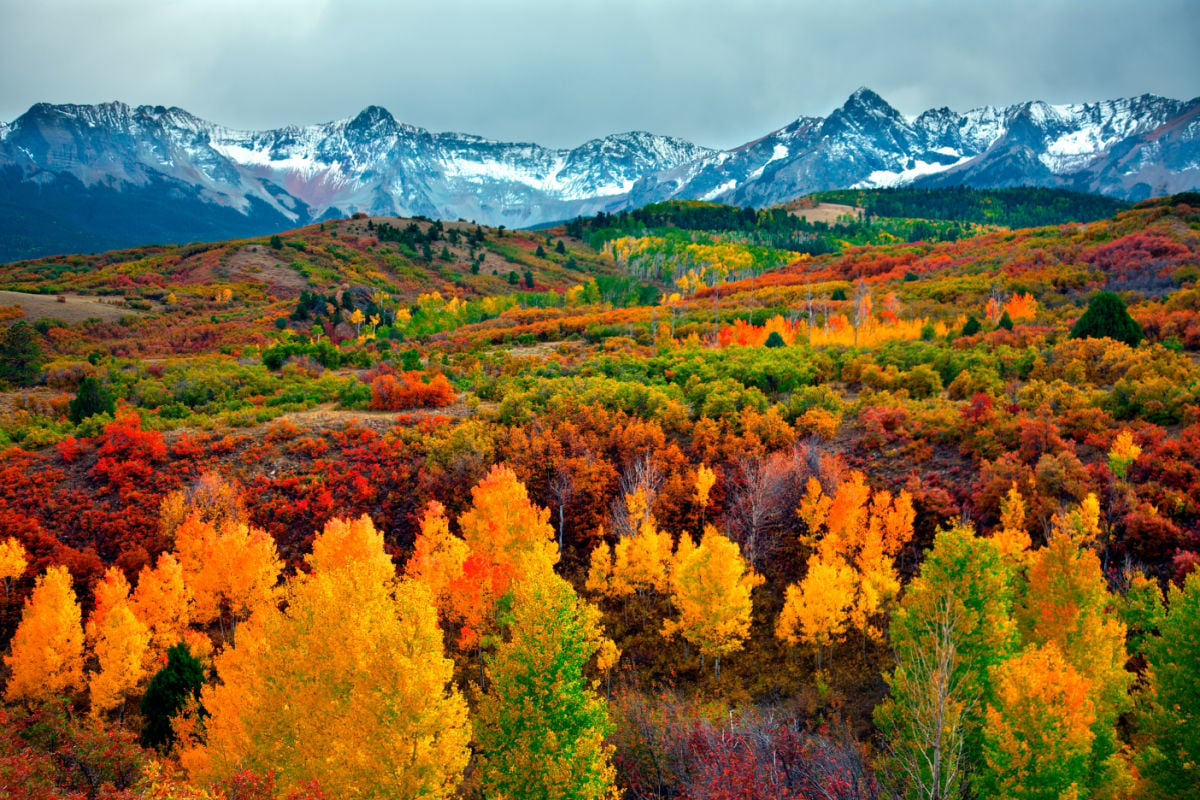 4 Reasons You Should Visit This Gorgeous U.S. State This Fall 