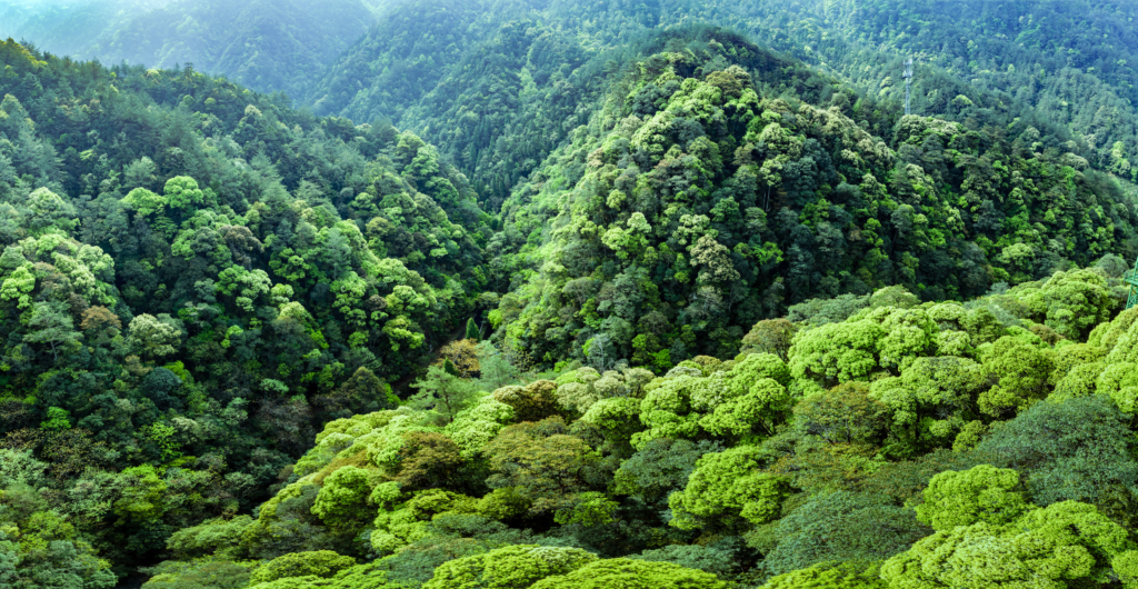 Quianjiangyuan takes the stage as China celebrates National Ecology Day